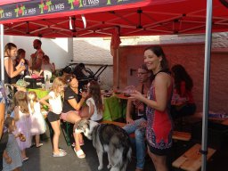 Museumsfest 2024